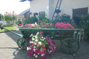 Goriče 21_3